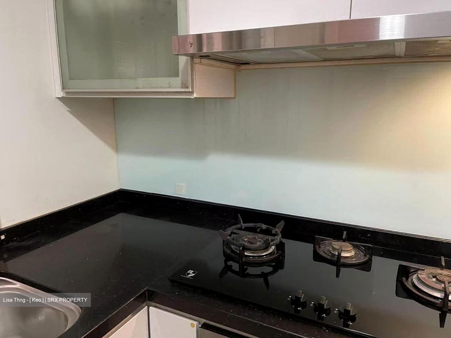 Parc Vista (D22), Condominium #623142791